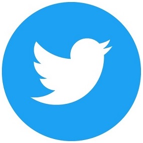 Twitter do site automatizado